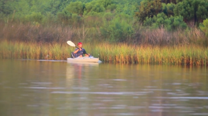 man in kayak on water in bayou